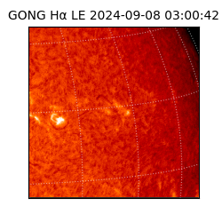 gong - 2024-09-08T03:00:42