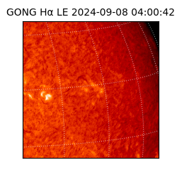 gong - 2024-09-08T04:00:42