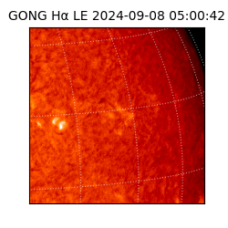 gong - 2024-09-08T05:00:42