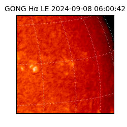 gong - 2024-09-08T06:00:42