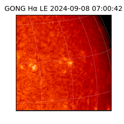 gong - 2024-09-08T07:00:42