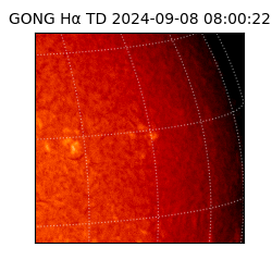 gong - 2024-09-08T08:00:22