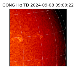 gong - 2024-09-08T09:00:22