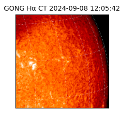 gong - 2024-09-08T12:05:42