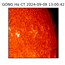 gong - 2024-09-08T13:00:42