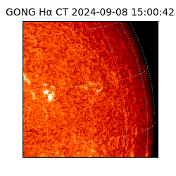 gong - 2024-09-08T15:00:42