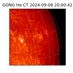 gong - 2024-09-08T20:00:42