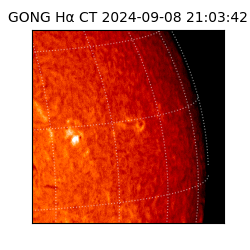 gong - 2024-09-08T21:03:42