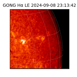 gong - 2024-09-08T23:13:42