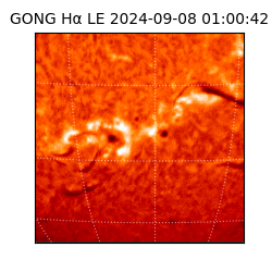 gong - 2024-09-08T01:00:42