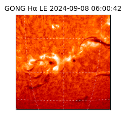 gong - 2024-09-08T06:00:42