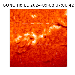 gong - 2024-09-08T07:00:42