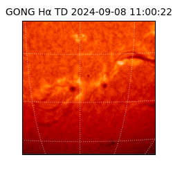 gong - 2024-09-08T11:00:22