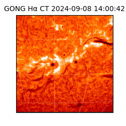 gong - 2024-09-08T14:00:42