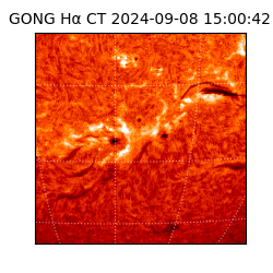 gong - 2024-09-08T15:00:42