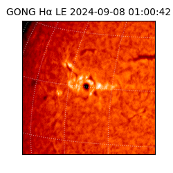 gong - 2024-09-08T01:00:42