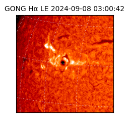 gong - 2024-09-08T03:00:42