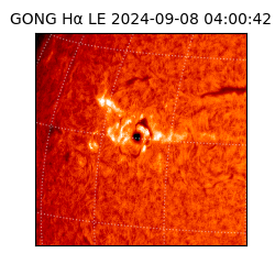 gong - 2024-09-08T04:00:42