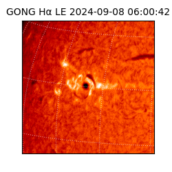 gong - 2024-09-08T06:00:42