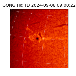 gong - 2024-09-08T09:00:22