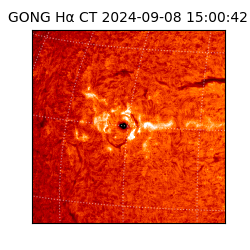 gong - 2024-09-08T15:00:42