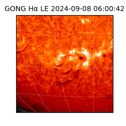 gong - 2024-09-08T06:00:42