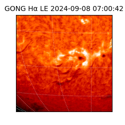 gong - 2024-09-08T07:00:42