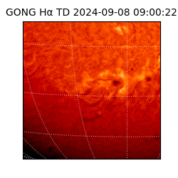 gong - 2024-09-08T09:00:22