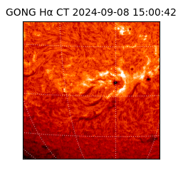 gong - 2024-09-08T15:00:42