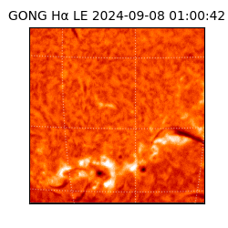 gong - 2024-09-08T01:00:42