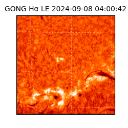 gong - 2024-09-08T04:00:42