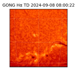 gong - 2024-09-08T08:00:22