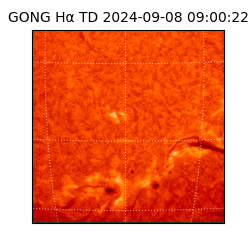 gong - 2024-09-08T09:00:22