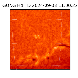 gong - 2024-09-08T11:00:22