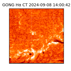 gong - 2024-09-08T14:00:42