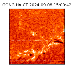 gong - 2024-09-08T15:00:42