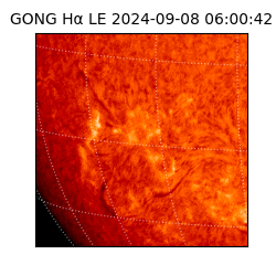 gong - 2024-09-08T06:00:42