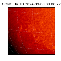 gong - 2024-09-08T09:00:22