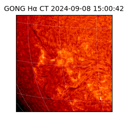 gong - 2024-09-08T15:00:42