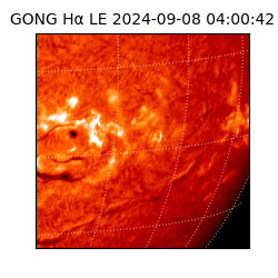 gong - 2024-09-08T04:00:42