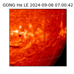 gong - 2024-09-08T07:00:42