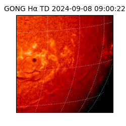 gong - 2024-09-08T09:00:22