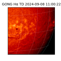 gong - 2024-09-08T11:00:22