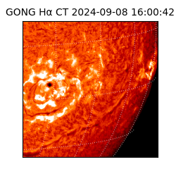 gong - 2024-09-08T16:00:42