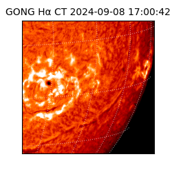 gong - 2024-09-08T17:00:42