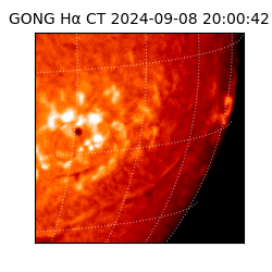 gong - 2024-09-08T20:00:42