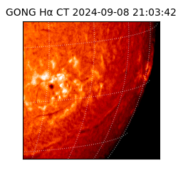 gong - 2024-09-08T21:03:42