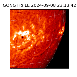 gong - 2024-09-08T23:13:42