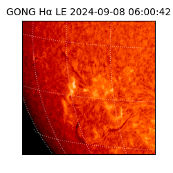 gong - 2024-09-08T06:00:42