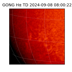 gong - 2024-09-08T08:00:22